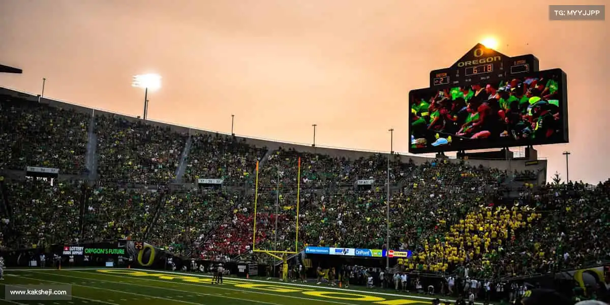 <strong>XCsport</strong>篮球撞击地面的声音，是梦想跳动的节奏！🏀